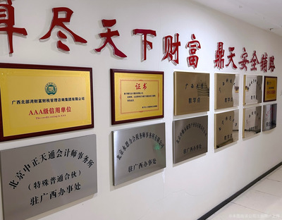 廣西北部灣財富財稅管理咨詢集團