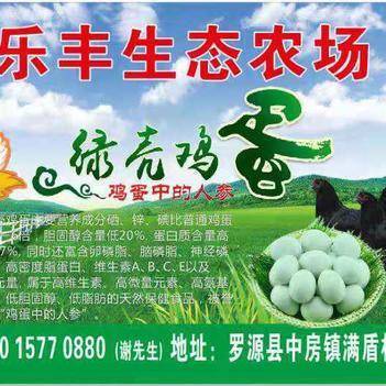 深耕源頭，鏈接餐桌 走進農產品批發供應商謝依燦的惠農網之路